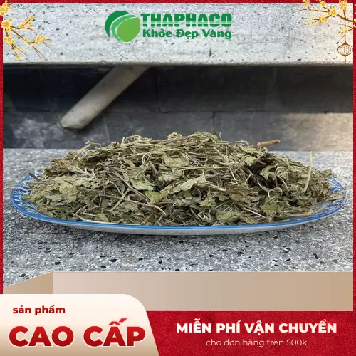 Sản phẩm lá bạc hà khô Dược Liệu THAPHACO chất lượng