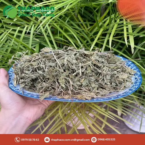 Lá bạc hà khô THAPHACO chất lượng cao tại Gò Vấp