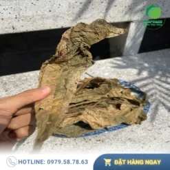 Lá Khôi Tía Sấy Khô Giá Bao Nhiêu 1kg? Đánh Giá Chất Lượng THAPHACO