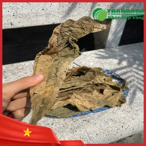 Sản phẩm lá khôi tía sấy khô THAPHACO chất lượng cao, đóng gói chuyên nghiệp