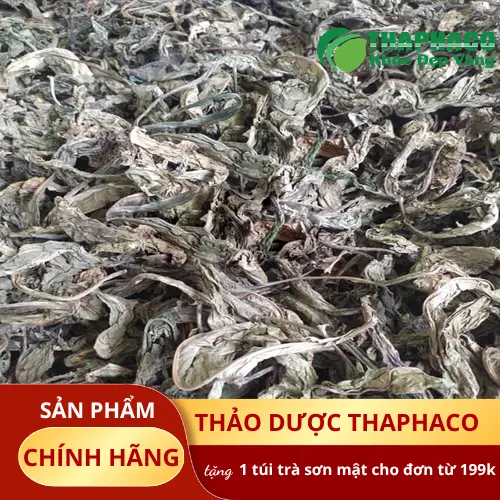 Lá Khôi Nhung - Cận cảnh lớp lông mịn trên bề mặt lá