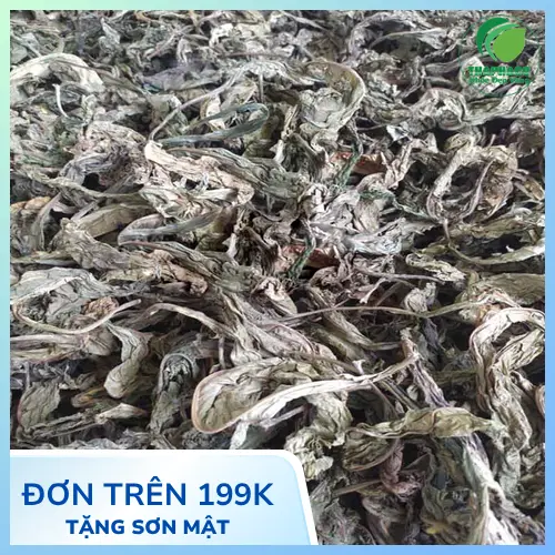 Lá khôi tía đang phơi khô tự nhiên
