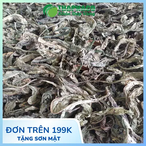 Lưu ý quan trọng khi sử dụng lá khôi tía để điều trị bệnh dạ dày