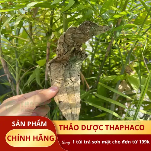 Địa chỉ mua lá khôi tía uy tín, chất lượng tại TP.HCM