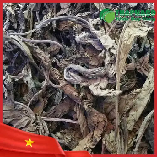 Sản phẩm lá khôi tía THAPHACO - Giải pháp tự nhiên cho dạ dày