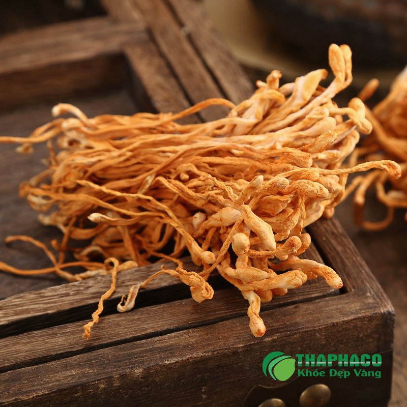 Giải Pháp Dược Liệu Sạch, Nguyên Chất Hỗ Trợ Điều Trị Liệt Dương Từ Thaphaco
