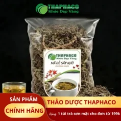 1kg Mã Đề Sấy Khô Giá Bao Nhiêu? Cập Nhật Tại THAPHACO