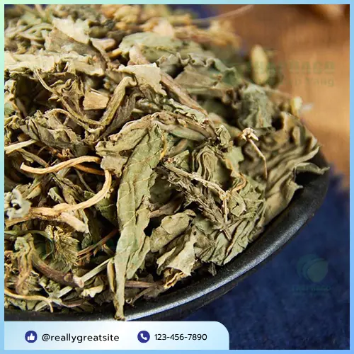 Quy trình sấy khô mã đề hiện đại của THAPHACO