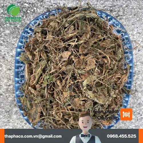 Cách sử dụng mã đề sấy khô để pha trà và sắc nước