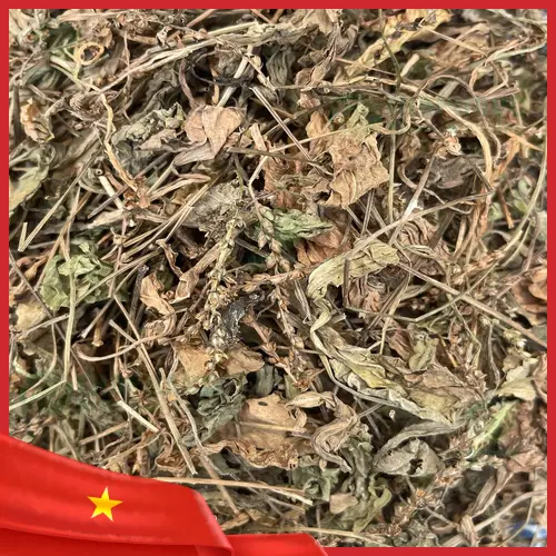 Giấy tờ và chứng nhận chất lượng mã đề