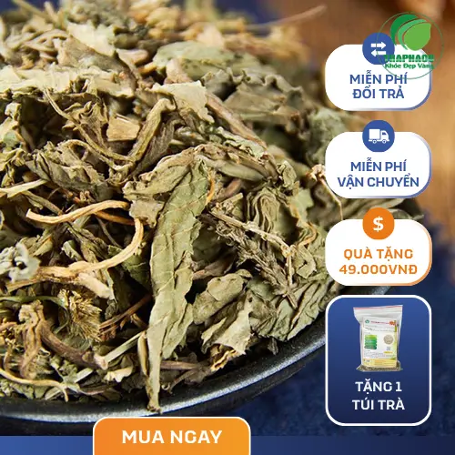 Vận chuyển mã đề khô đến tay khách hàng sỉ