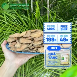 Đại lý phân phối sỉ lẻ móp gai tại TP.HCM - THAPHACO
