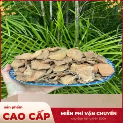 Chỗ Nào Bán Móp Gai Sấy Khô Tại TP.HCM Chất Lượng Cao?