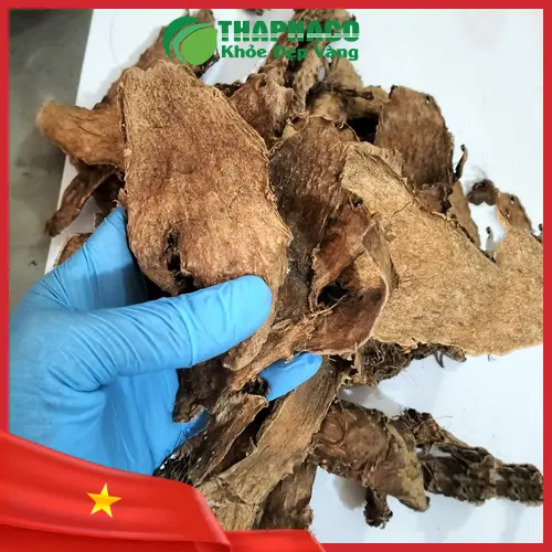Sản phẩm móp gai khô chất lượng cao của THAPHACO