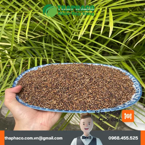 Nụ vối sấy khô chất lượng cao từ THAPHACO