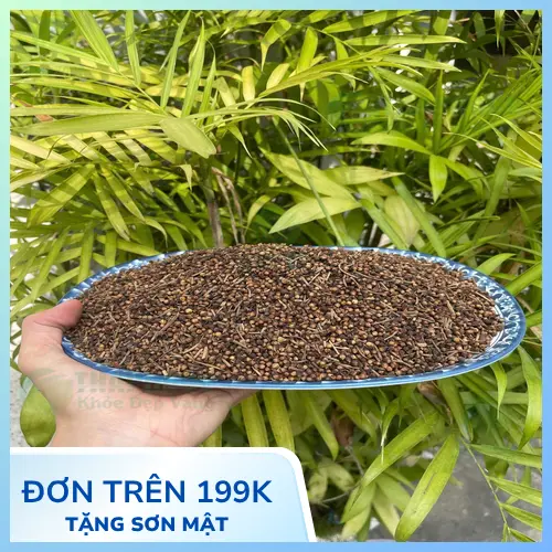 Nụ vối khô tự nhiên - dược liệu hỗ trợ giảm mụn hiệu quả