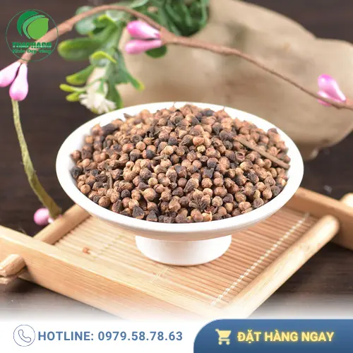 Quy trình sấy khô nụ vối đảm bảo chất lượng