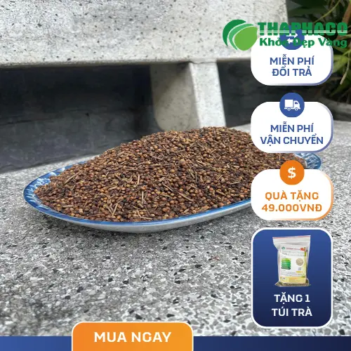 Nụ vối sấy khô Thaphaco được đóng gói bao bì chuyên nghiệp