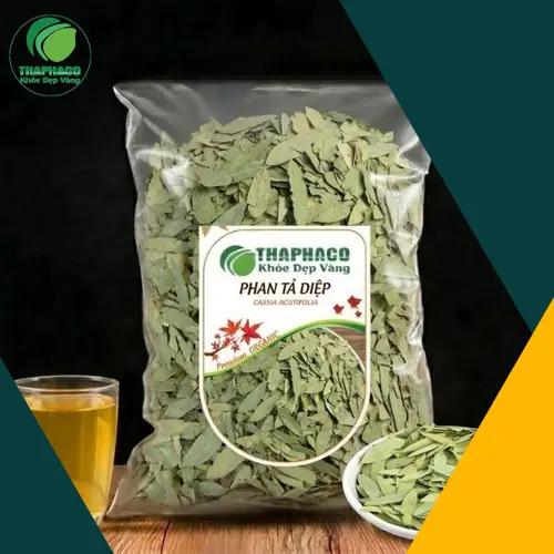 Phan Tả Diệp khô chất lượng tại Dược Liệu THAPHACO