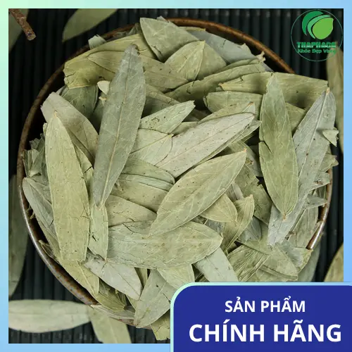 Phan Tả Diệp khô, lá nguyên chất tại Dược Liệu THAPHACO