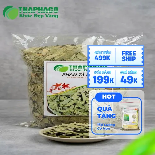 Dược Liệu THAPHACO cung cấp Phan Tả Diệp khô nguyên chất