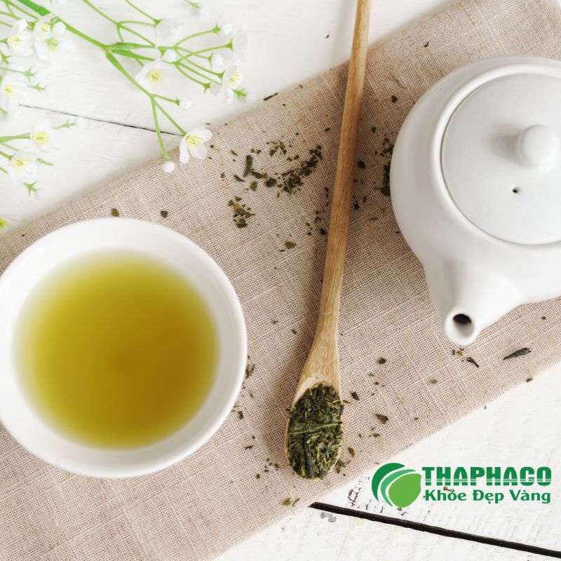 Thaphaco Đồng Hành Cùng Sức Khỏe Cộng Đồng Với Dược Liệu Sạch, Nguyên Chất