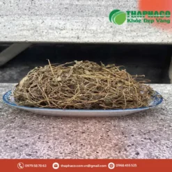 Bao nhiêu tiền 1kg cây sài đất sấy khô? Giá tốt, chất lượng THAPHACO