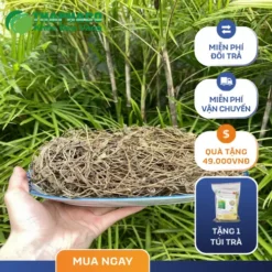 Địa chỉ bán sỉ cây sài đất sấy khô tại TP.HCM