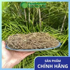 Chỗ Bán Sài Đất Khô Tại TP.HCM Chất Lượng & Giá Tốt