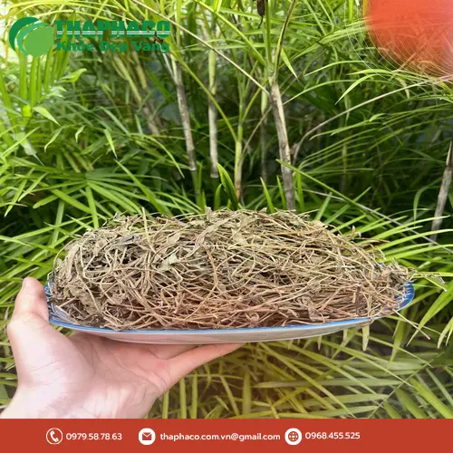 Ưu đãi sài đất khô 1kg giá tốt tại THAPHACO