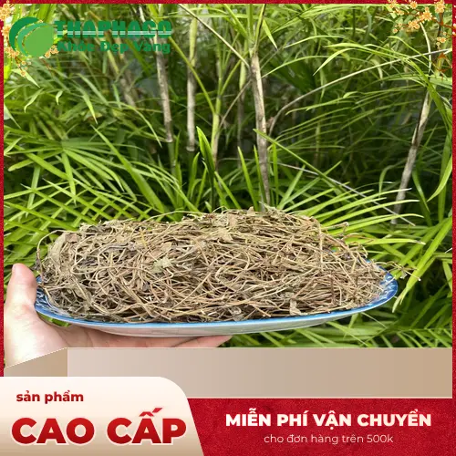 Giá sài đất khô tại THAPHACO