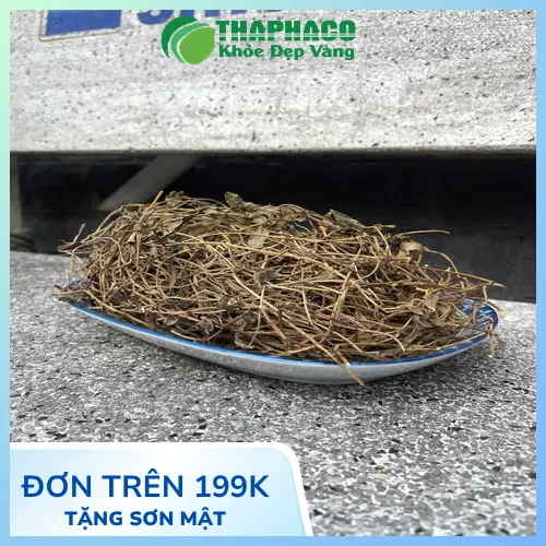 Lợi ích sức khỏe từ sài đất sấy khô tự nhiên