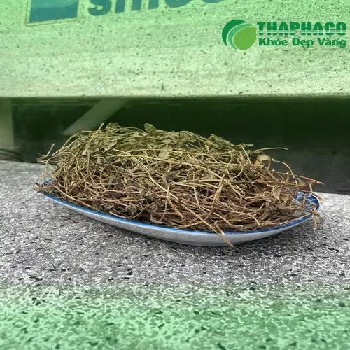 Hướng dẫn sử dụng sài đất khô THAPHACO