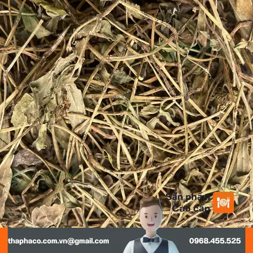 Địa chỉ mua sài đất khô THAPHACO uy tín tại Gò Vấp, TP.HCM