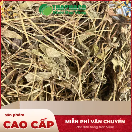 Sản phẩm sài đất sấy khô được đóng gói cẩn thận, sẵn sàng giao hàng