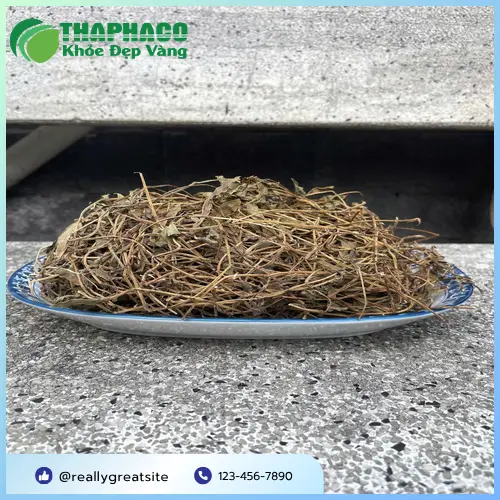 Bảo quản sài đất khô THAPHACO đúng cách