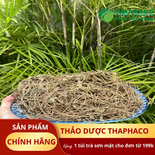 Sài đất khô dùng pha trà dưỡng sinh