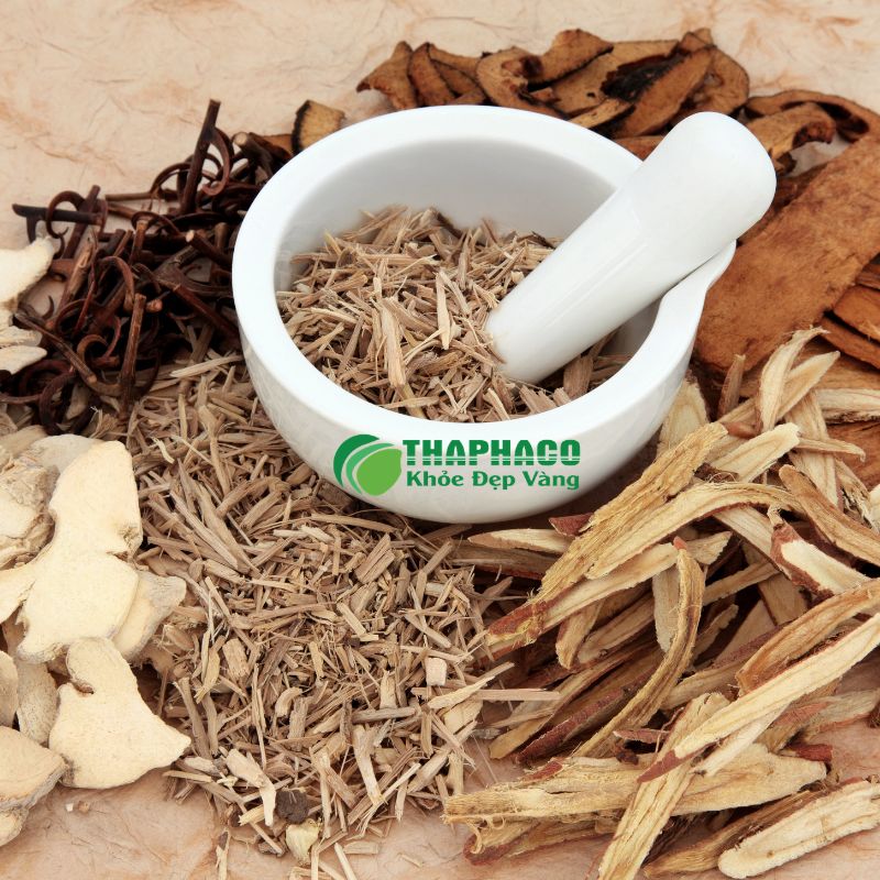 Giải Pháp Hỗ Trợ Sức Khỏe Tủy Xương Từ Dược Liệu Sạch, Nguyên Chất Thaphaco