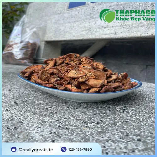 Chuyên gia dược liệu THAPHACO giới thiệu quả táo mèo tươi và khô