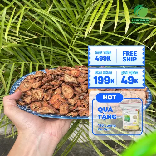 Hướng dẫn bảo quản táo mèo sấy khô