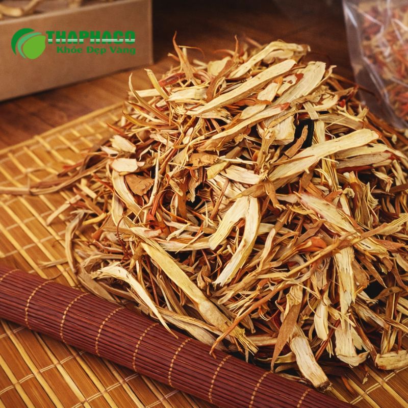 Sâm Cau hỗ trợ tăng cường sức khỏe tổng thể, cải thiện chất lượng tinh trùng