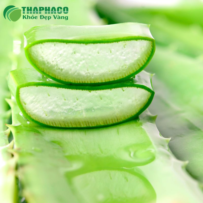 Gel trong suốt của nha đam có thể giúp cấp ẩm, làm dịu và giảm ngứa