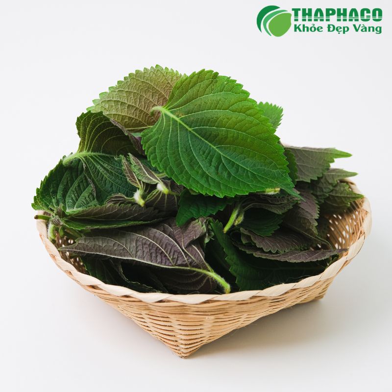 Giải Pháp Tự Nhiên, Sạch Nguyên Chất Hỗ Trợ Giảm Viêm Mũi Dị Ứng Hiệu Quả Từ Thaphaco