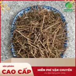 Đại lý sỉ cây xấu hổ sấy khô THAPHACO tại TP.HCM - Giá tốt
