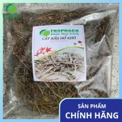 Mua Cây Xấu Hổ Khô Uy Tín Ở Đâu Tại TP.HCM? THAPHACO Giải Đáp