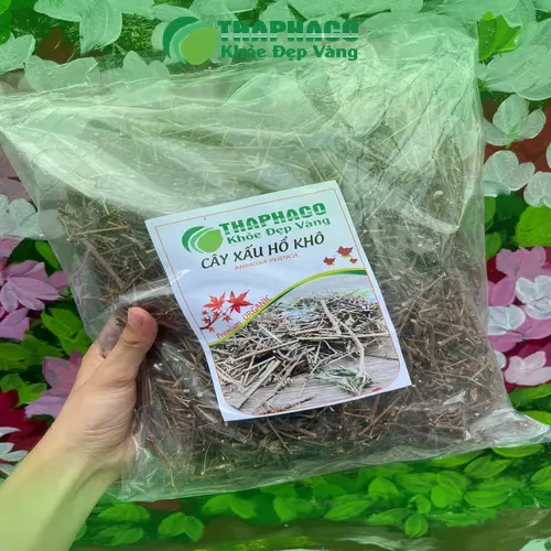 Quy trình sấy khô cây xấu hổ tại THAPHACO