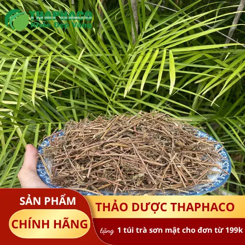 Cây xấu hổ khô đã được thái lát và phơi sấy cẩn thận