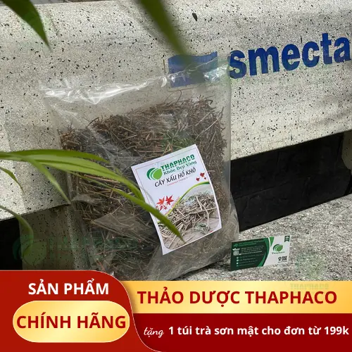 Hướng dẫn sử dụng cây xấu hổ đúng cách