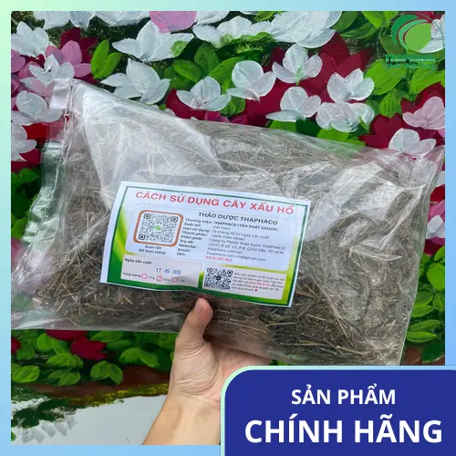 Hình ảnh các bộ phận của cây xấu hổ được cắt lát và phơi khô