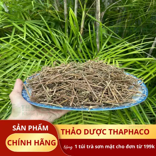 Cây xấu hổ khô gói 1kg tại THAPHACO
